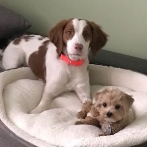 Meet your Posher, Melinda